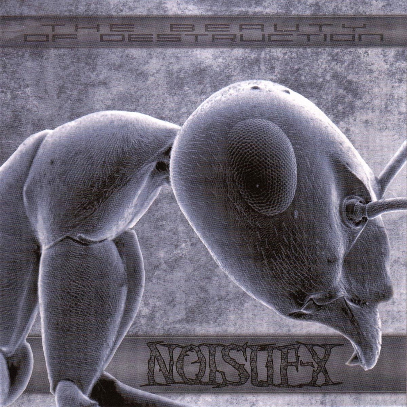 Noisuf-X - Fine Line